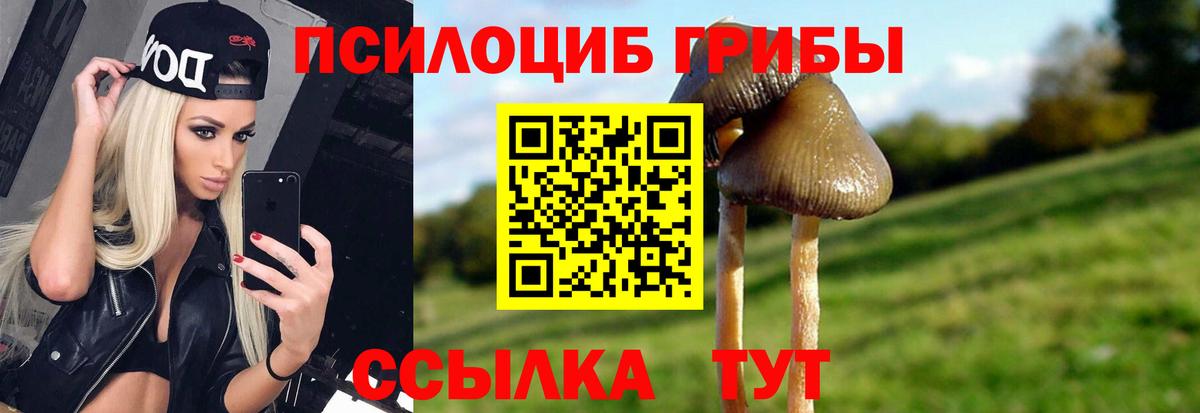 Семёнов  Псилоцибиновые грибы прущие грибы  Вход с VPN 